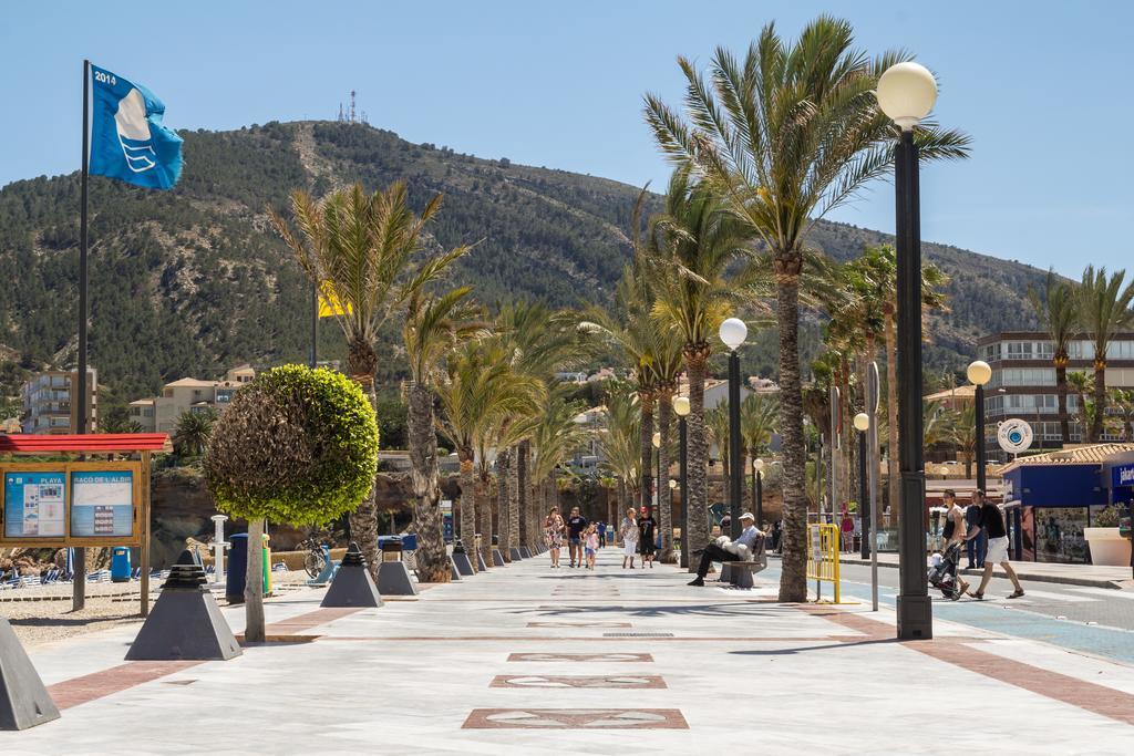 Azul Albir El Albir